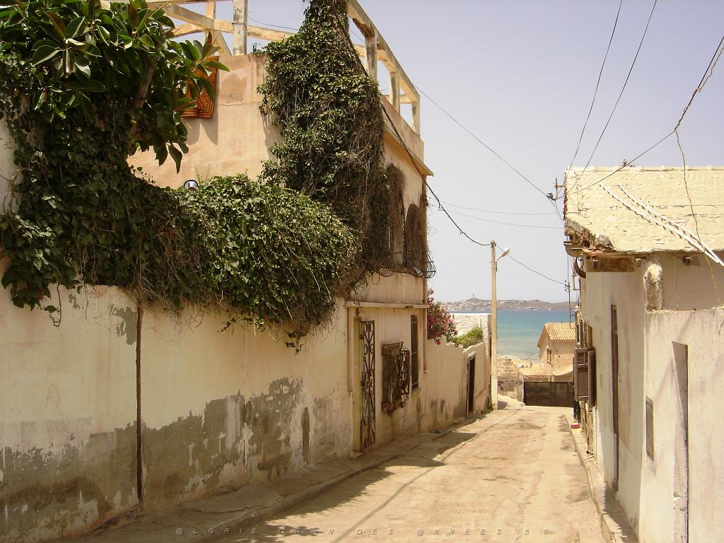 ORAN 2007 PARADIS PLAGE  (5).jpg